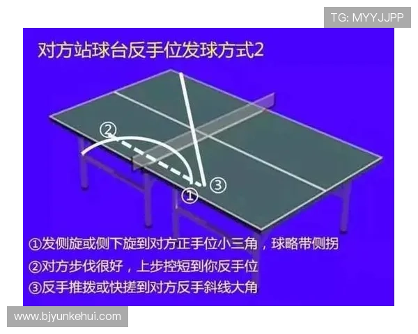 乒乓球新手必看:快速掌握技巧与战术的全面入门指南 乒乓球新手必看:快速掌握技巧与战术的全面入门指南